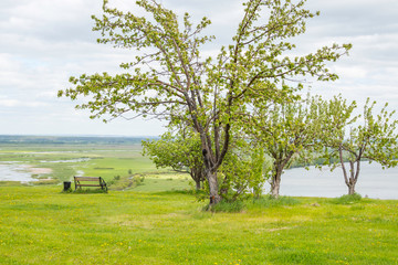 bench near a tree on the high bank of the river Kama against the background of the river and meadows