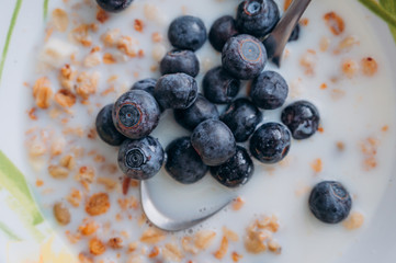 fresh blueberries in a bowl with milk and muesli for Breakfast