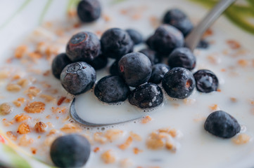 fresh blueberries in a bowl with milk and muesli for Breakfast