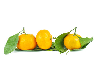 Mandarines, tangerine or clementine with leaves isolated on white background