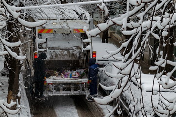 Collection of container waste during the COVID-19 corona virus pandemic, emergency and delayed,...