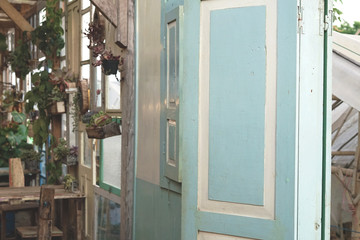 Old retro door design with some decorative plant in the background