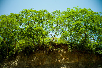 Green Trees on Cliff in a Clear Day in Samaipata, Santa Cruz / Bolivia