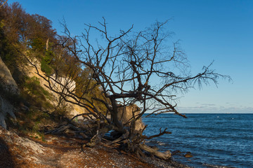 Rügen Ostsee blau Meer Strand Küste