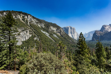 Fototapeta premium A beautiful View in Yosemite National Park