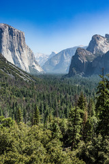 Fototapeta premium A beautiful View in Yosemite National Park