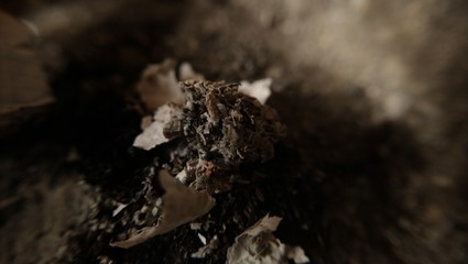 Ash macro of a cigarette in a ashtray