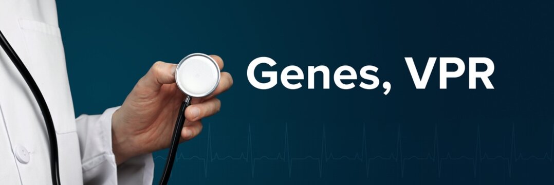 Genes, VPR. Doctor in smock holds stethoscope. The word Genes, VPR is next to it. Symbol of medicine, illness, health