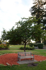 SAN JOSE, CALIFORNIA, USA - JULY 2, 2019: Municipal Rose Garden