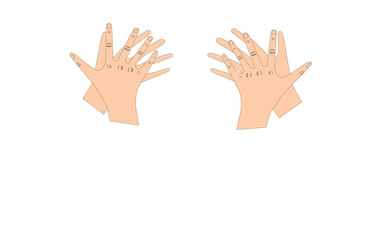 set of hands isolated on white background