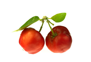  Juicy red cherry isolated on the white background.