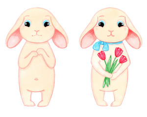 Easter Bunny with pink red tulips