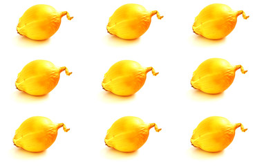 Onion on white isolated background. Pattern