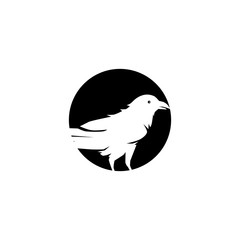 Raven bird icon logo design vector