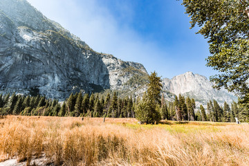 A beautiful View in Yosemite National Park