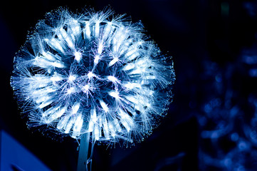 イルミネーション