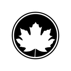 Maple leaf icon vector template design trendy
