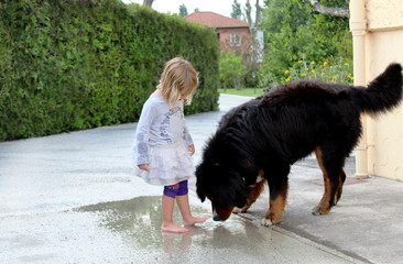 fille joue dans une flaque d'eau avec un chien dans le jardin