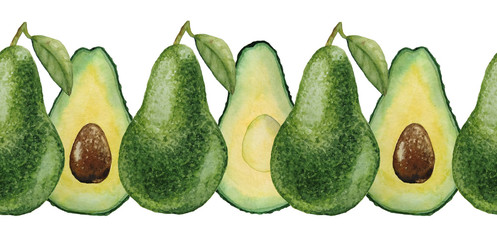 hand drawn watercolor seamless border of green tropical avocado fruit Mexican tree super food exotic botanical plant vegetarian vegan diet healthy lifestyle organic food for cafe restaurant menu