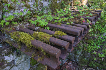 Detail von einem Bunker aus dem 1. Weltkrieg nahe Verdun/Frankreich