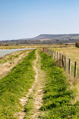 Fototapeta na wymiar Along the River Ouse near Lewes with Firle Beacon in the Distance
