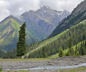 Tian Shan Mountains and fir tree forest , Kyrgyzstan, Central Asia
