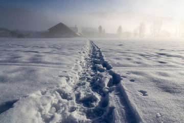 a winter landscape with a trodden out in snow pathway leading to countryside houses and mountains in the background that are shrouded in dense fog on a sunny morning in alps.