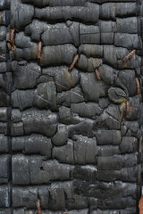 Charred Timber Texture