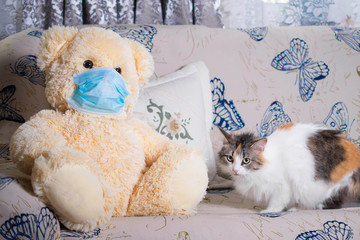 Sad Teddy bear in a protective mask sits on a soft sofa at home in quarantine with a tricolor cat, Pets and friends: concept, isolation, stay at home