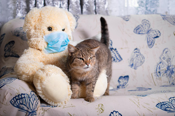 Sad Teddy bear in a protective mask sits on a soft sofa at home in quarantine with a taddy cat, Pets and friends: concept, isolation, stay at home