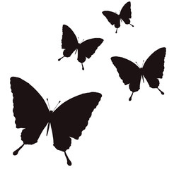 ちょうちょうのシルエット