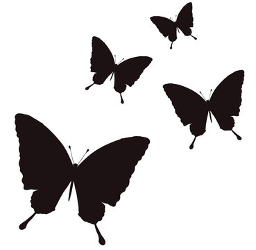 蝶々マーク の画像 3 340 件の Stock 写真 ベクターおよびビデオ Adobe Stock