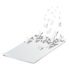Paper cut butterflies