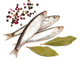 Sprat spicy salting with spices on a white background