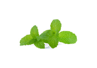 Mint leaves isolated on white background.