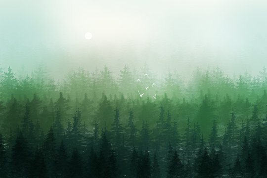 Beautiful illustration of foggy coniferous forest on a sunny day. Horizontal forest landscape with green colors.