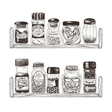 Spices in jars on wooden shelves, thyme, ginger, bay leaf, coriander, cardamom, pepper, oregano, paprika and cinnamon. Vector hand drawn illustration for kitchen decor.
