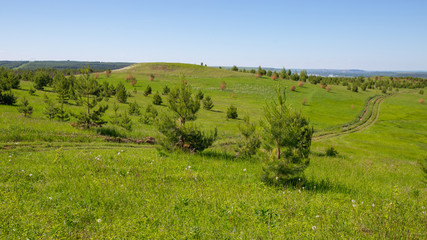 Fototapeta premium country road on hills overgrown with grass and sparse small trees