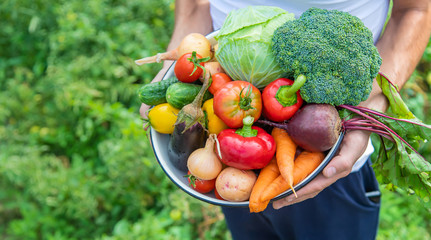 Man farmer with homemade vegetables in his hands. Selective focus.