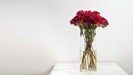 Fototapeta premium Beautiful dark red roses, flowers in a vase, side view, vertical, white background