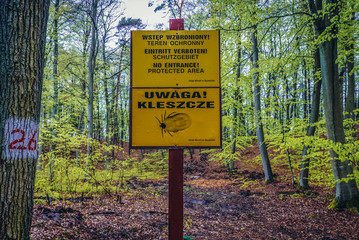Signs in beechwaood forest near Swinoujscie - protected area and ticks warning, Poland