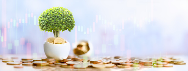 Hatched egg and coins with small plant tree. Pension fund, 401K, Strategies and plan for passive...