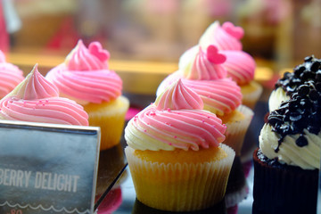 Colorful cupcake in the showcase
