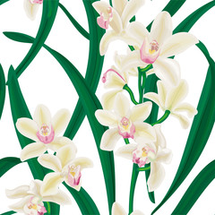 Cymbidium. Tropical summer seamless pattern with flowers and leaves of exotic white orchid. Stock vector illustration on a white background.