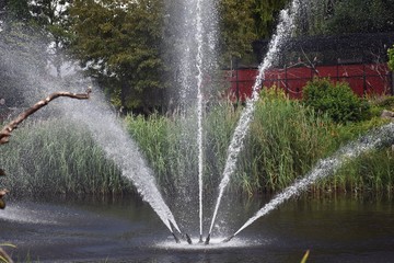 Artesian fountains in a lake in the city park.