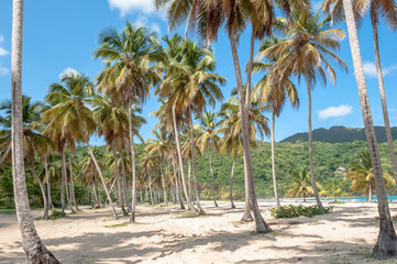 Fototapeta na wymiar playa caribe