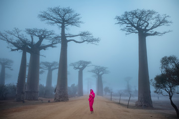 Madagascar, Africa: a women in traditional dress walking on a foggy morning on the field towards...