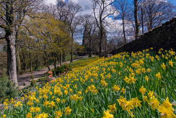 Aberdeen Seaton Park Spring Majesty