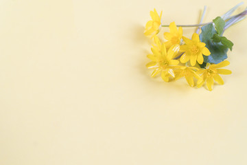 Yellow flowers in an egg shell on a yellow background. Copy space