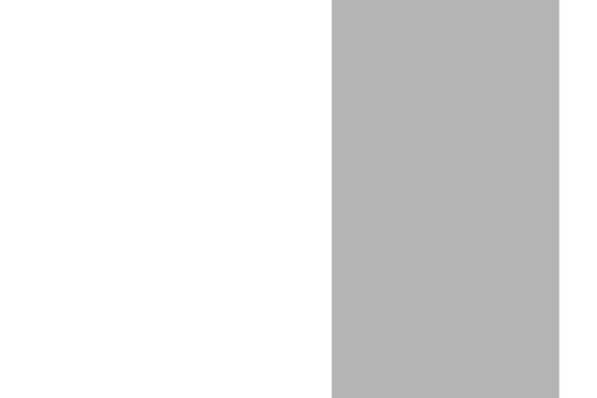 blanco fonfo foto gris plantilla aislada